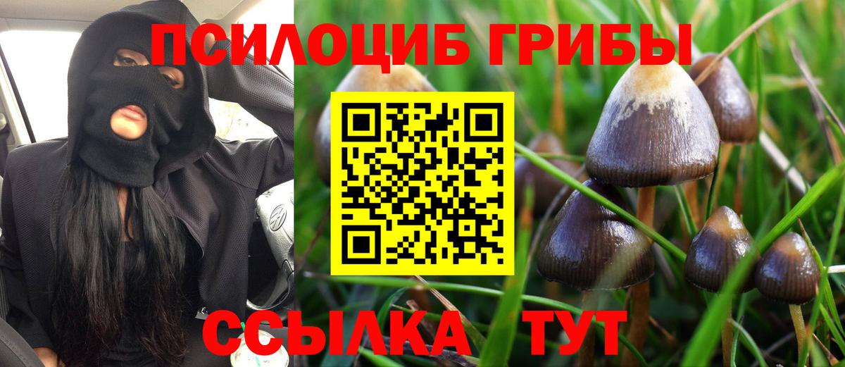 Галлюциногенные грибы ЛСД  Вход с VPN  Красногорск 
